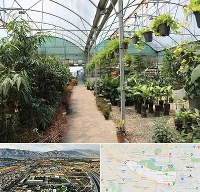 مرکز فروش گل و گیاه در منطقه 21 تهران