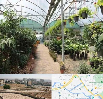 مرکز فروش گل و گیاه در کوی وحدت شیراز