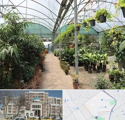 مرکز فروش گل و گیاه در طلاب مشهد