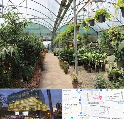مرکز فروش گل و گیاه در جمهوری