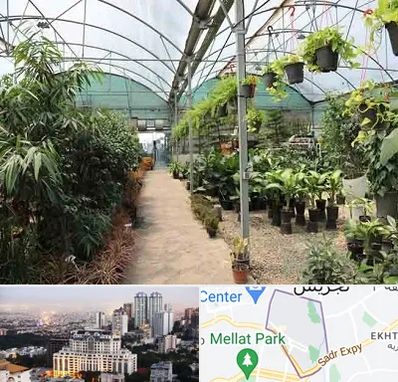 مرکز فروش گل و گیاه در الهیه