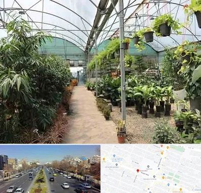 مرکز فروش گل و گیاه در بلوار معلم مشهد