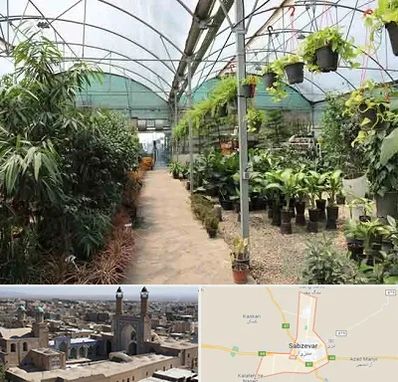 مرکز فروش گل و گیاه در سبزوار