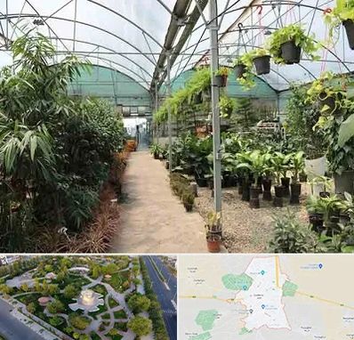 مرکز فروش گل و گیاه در کاشمر