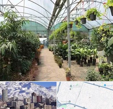 مرکز فروش گل و گیاه در ازگل