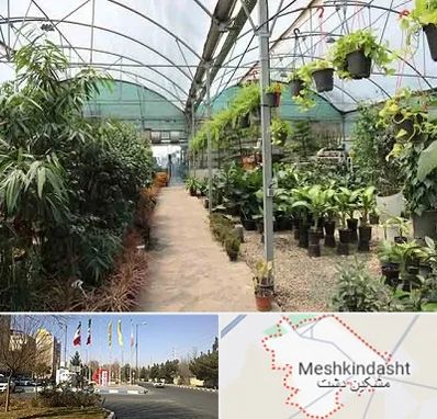 مرکز فروش گل و گیاه در مشکین دشت