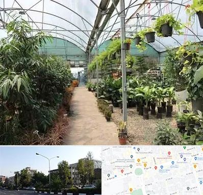 مرکز فروش گل و گیاه در میدان کاج