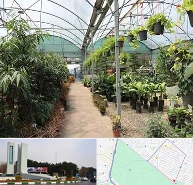 مرکز فروش گل و گیاه در بلوار فلسیطین مشهد