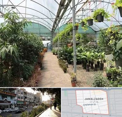 مرکز فروش گل و گیاه در خیابان جمالزاده