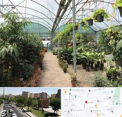 مرکز فروش گل و گیاه در شهرک آزمایش