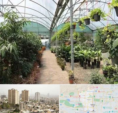 مرکز فروش گل و گیاه در منطقه 5 تهران