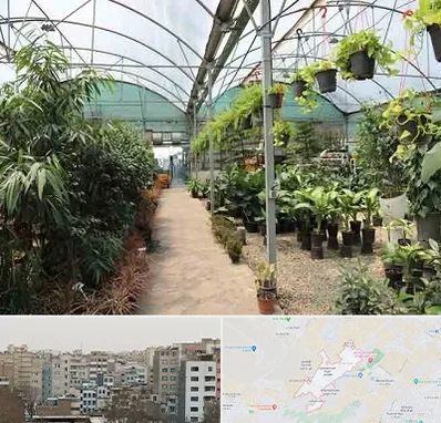 مرکز فروش گل و گیاه در محمد شهر کرج