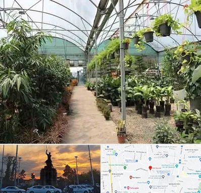 مرکز فروش گل و گیاه در میدان حر