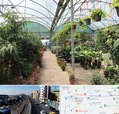 مرکز فروش گل و گیاه در پیروزی