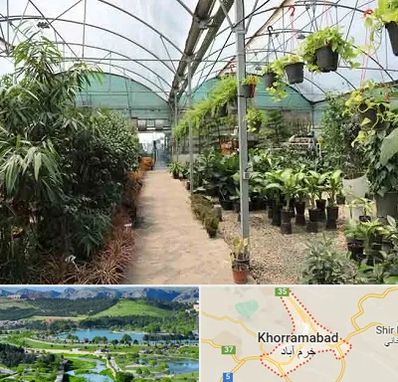 مرکز فروش گل و گیاه در خرم آباد
