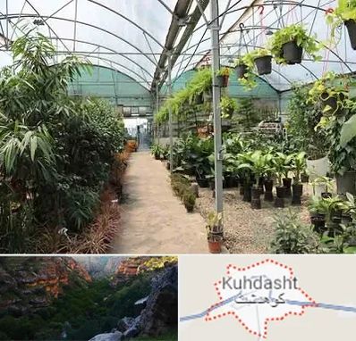 مرکز فروش گل و گیاه در کوهدشت