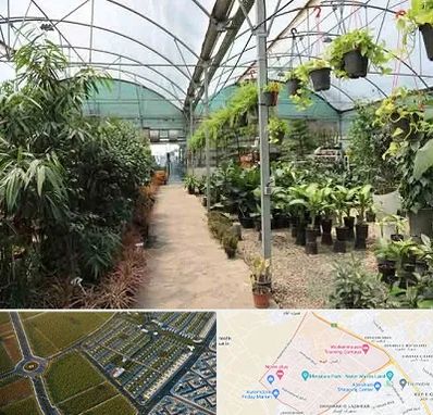 مرکز فروش گل و گیاه در الهیه مشهد