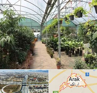 مرکز فروش گل و گیاه در اراک