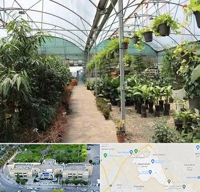 مرکز فروش گل و گیاه در نسیم شهر