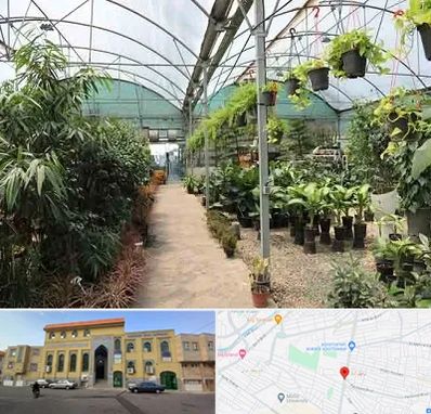 مرکز فروش گل و گیاه در زنبیل آباد قم