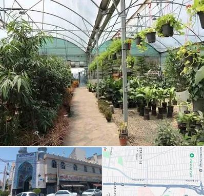 مرکز فروش گل و گیاه در بلوار ابوذر