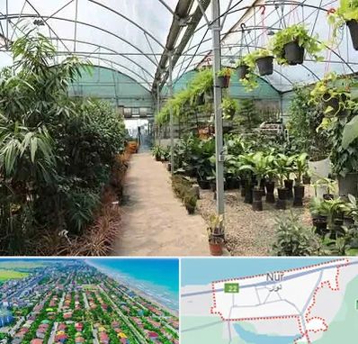 مرکز فروش گل و گیاه در نور