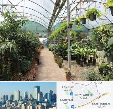 مرکز فروش گل و گیاه در قیطریه