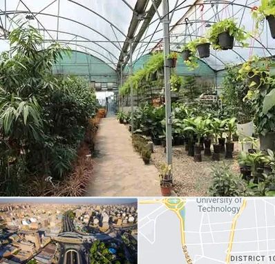 مرکز فروش گل و گیاه در استاد معین