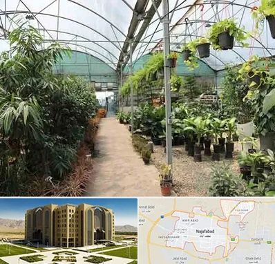 مرکز فروش گل و گیاه در نجف آباد