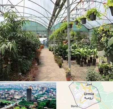 مرکز فروش گل و گیاه در ارومیه