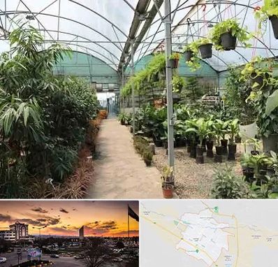 مرکز فروش گل و گیاه در قوچان