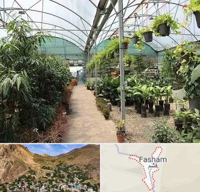 مرکز فروش گل و گیاه در فشم
