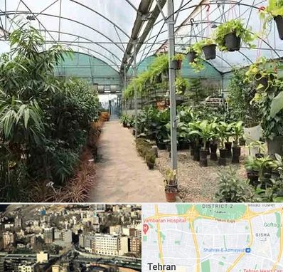 مرکز فروش گل و گیاه در مرزداران