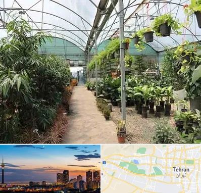 مرکز فروش گل و گیاه در غرب تهران