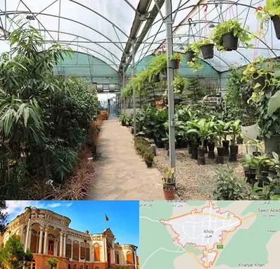 مرکز فروش گل و گیاه در خوی
