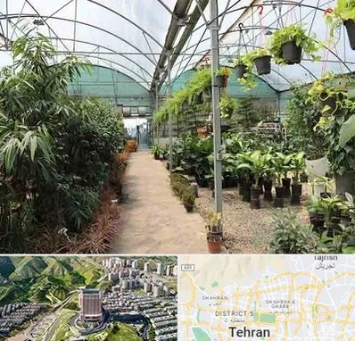 مرکز فروش گل و گیاه در شمال تهران