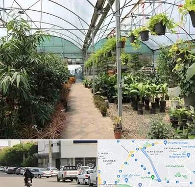 مرکز فروش گل و گیاه در قدوسی شرقی شیراز