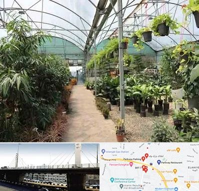 مرکز فروش گل و گیاه در پارک وی