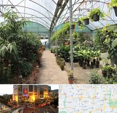 مرکز فروش گل و گیاه در جنت آباد تهران