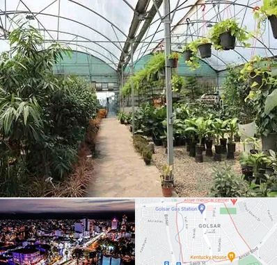 مرکز فروش گل و گیاه در گلسار رشت