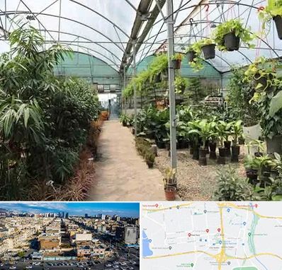 مرکز فروش گل و گیاه در شهرک راه آهن