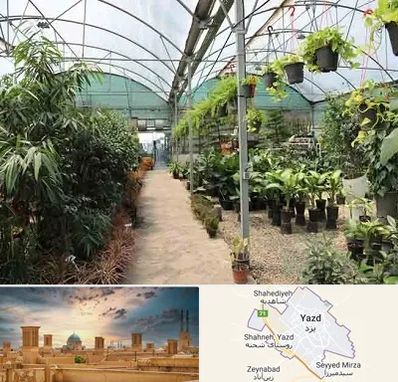 مرکز فروش گل و گیاه در یزد