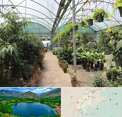 مرکز فروش گل و گیاه در رودبار