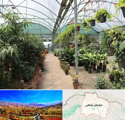 مرکز فروش گل و گیاه در خراسان شمالی