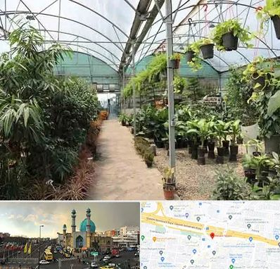 مرکز فروش گل و گیاه در رسالت