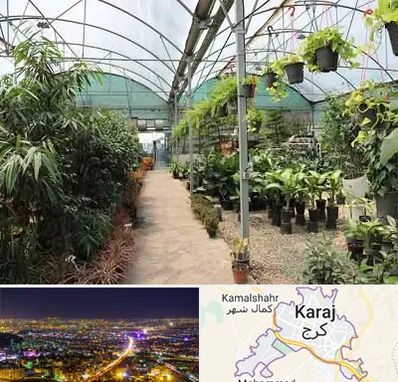 مرکز فروش گل و گیاه در کرج