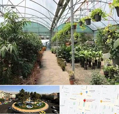 مرکز فروش گل و گیاه در هفت حوض