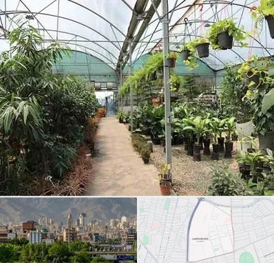 مرکز فروش گل و گیاه در جمشیدیه