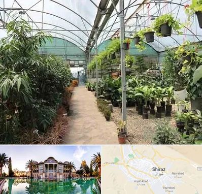 مرکز فروش گل و گیاه در شیراز