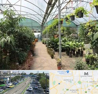 مرکز فروش گل و گیاه در جنوب تهران